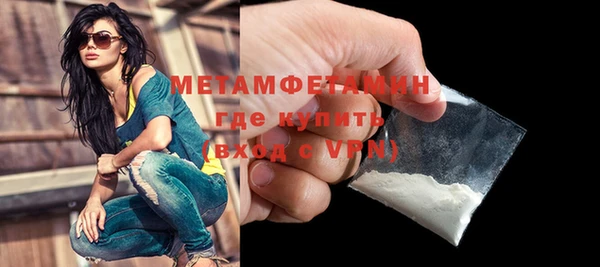 прущие грибы Осинники